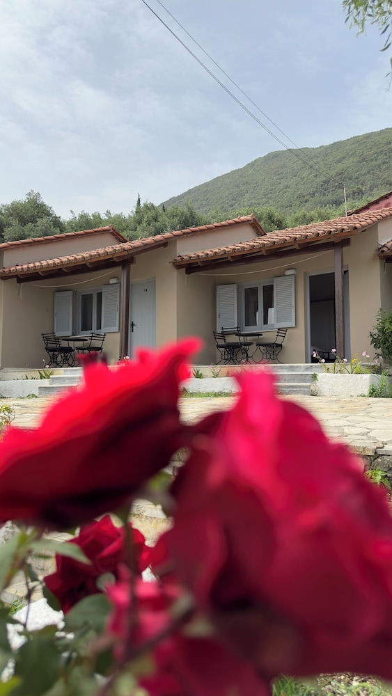 Olga's Sea View Studios -500m from Ipsos