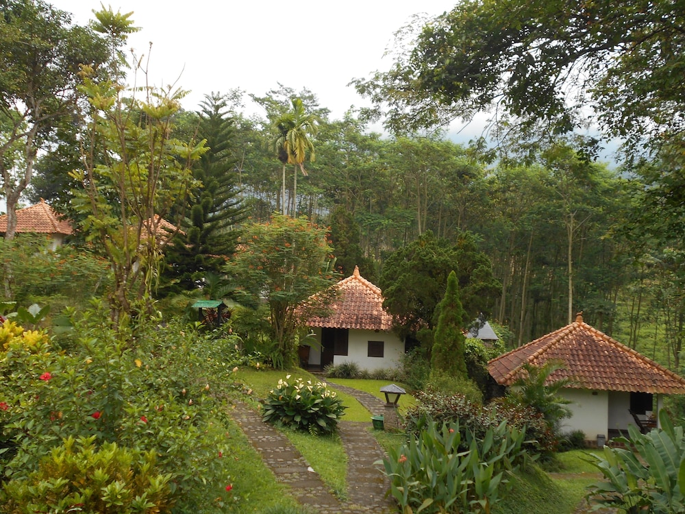 Photo 40
