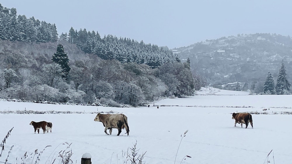 Traditional Highland Cottage Near Loch Ness-sleeps 6