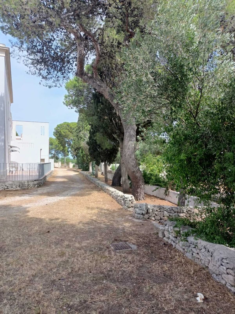 Masseria Belvedere