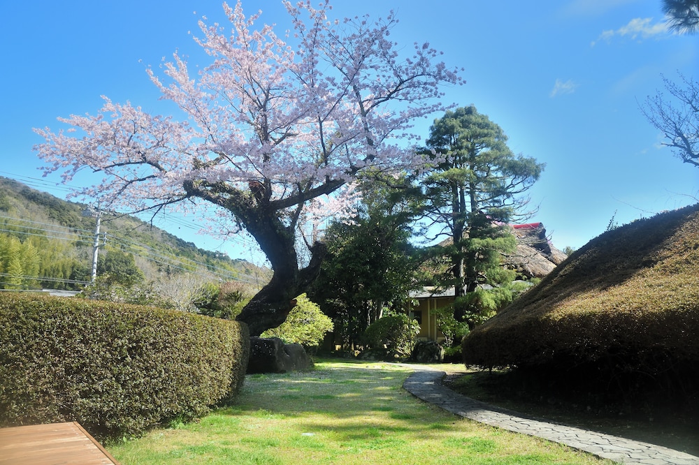 Shuzenji Kizuna Plus
