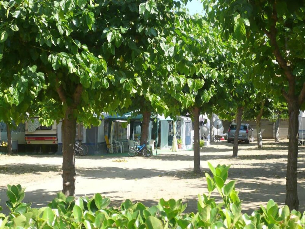 Camping El Camell