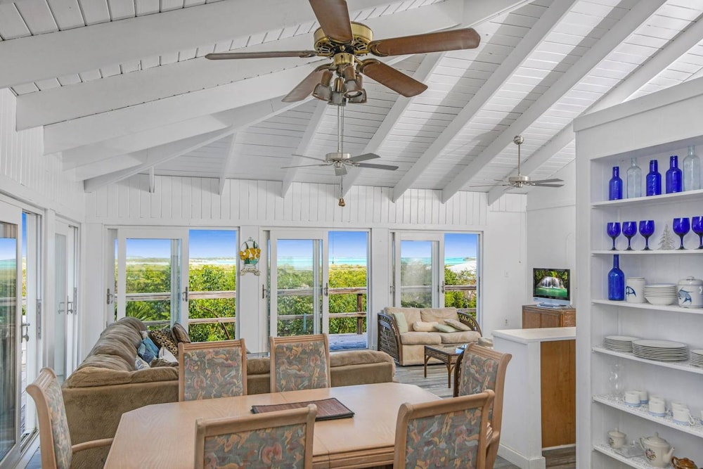 Palmetto Palms view 5
