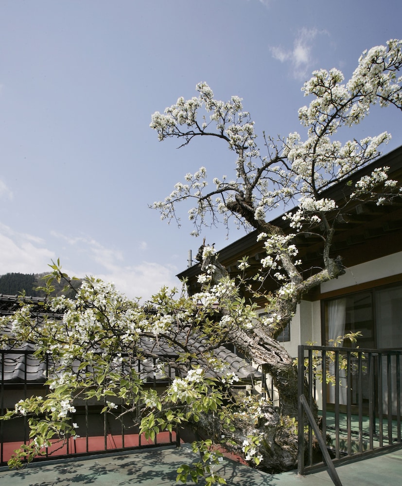 Ojikasou