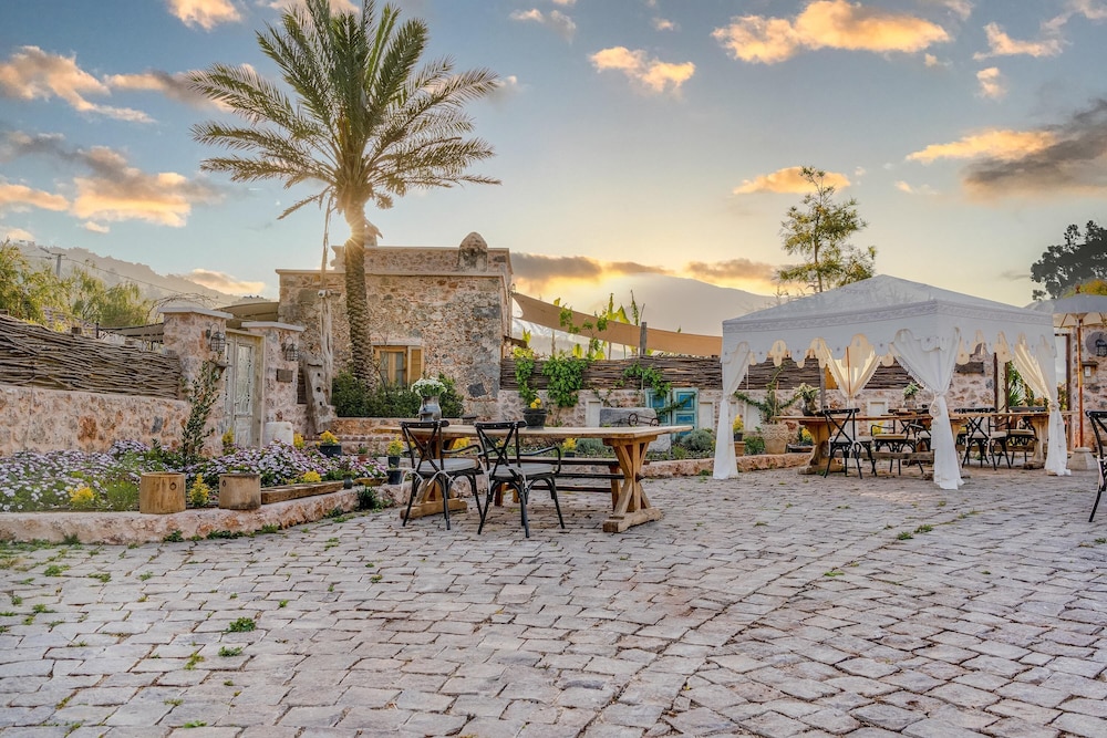 Ada Dreams Tarihi - Yetişkinlere Özel - Image 64