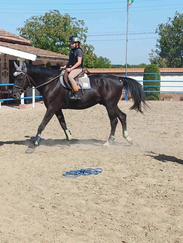 ESCUS HORSES