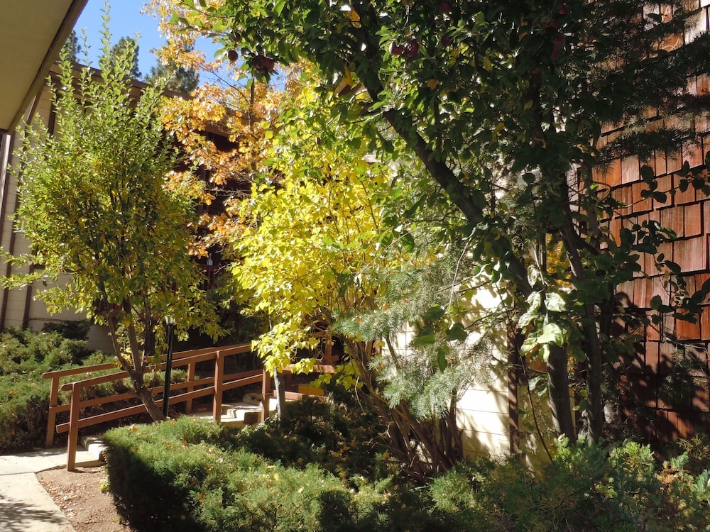 Snow Summit Townhouse Rentals & Sales