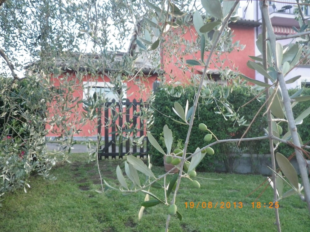 Photo 48