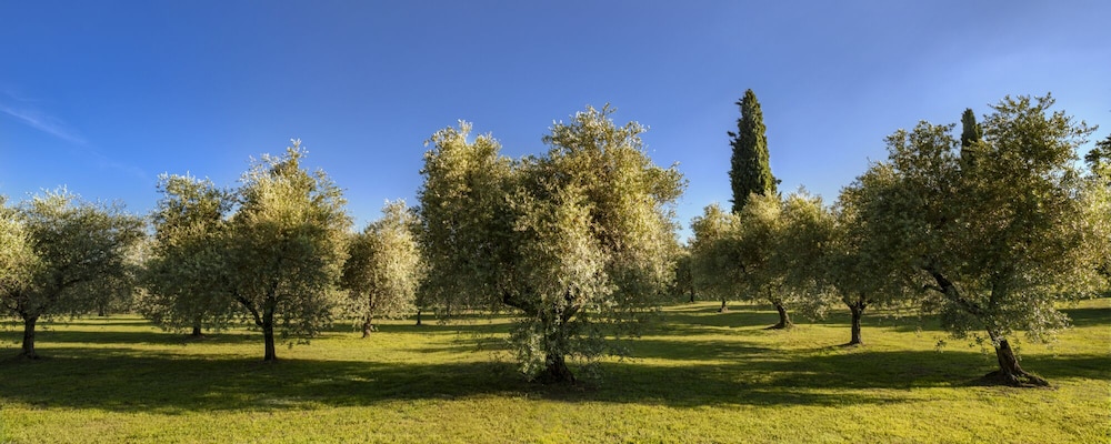 Agriturismo Borgo il Mezzanino