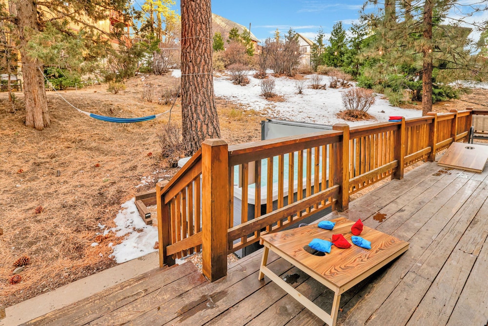 Big Cub Cabin #2521