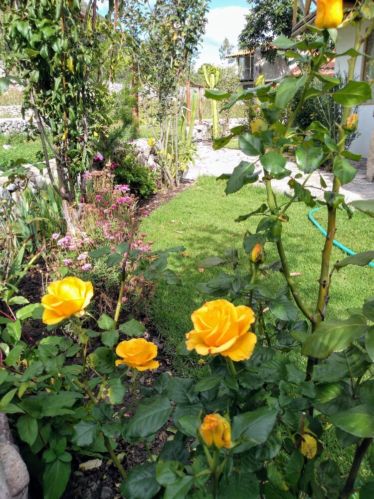 Photo 29