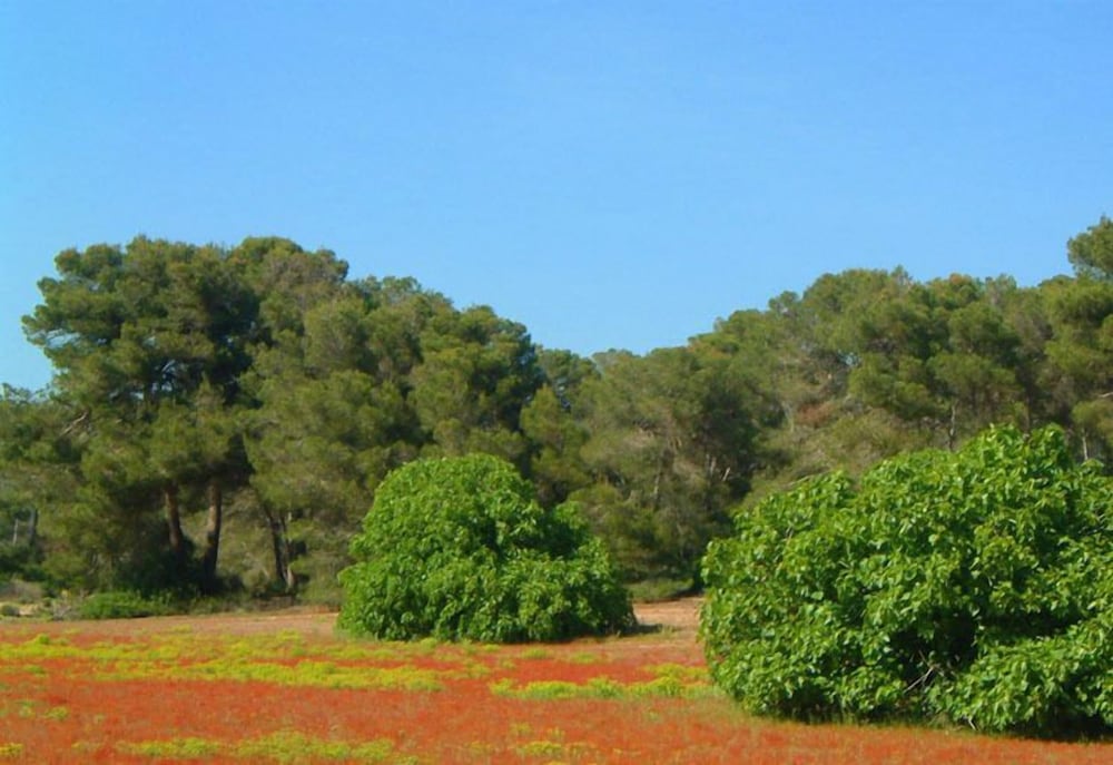 Agroturismo Ses Arenes