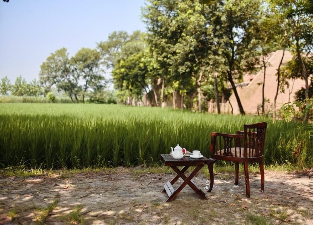 Punjab village farm near Amritsar