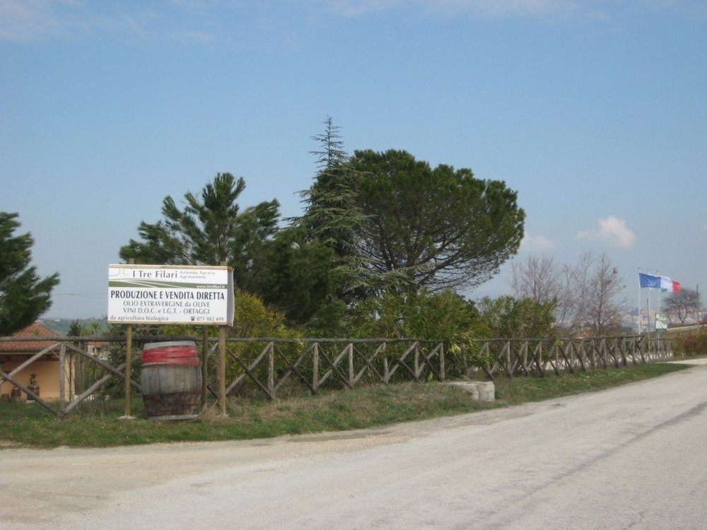 Photo 25