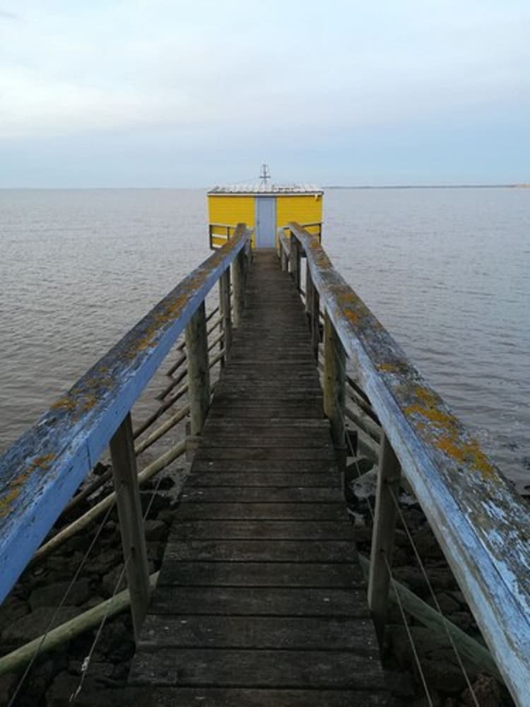 Photo 27