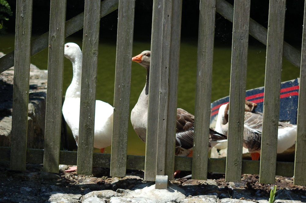 Photo 6