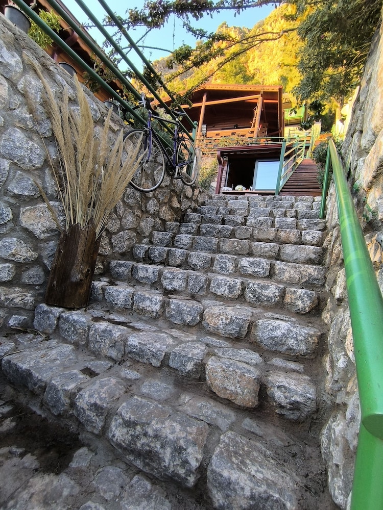 Pasha Bungalovs