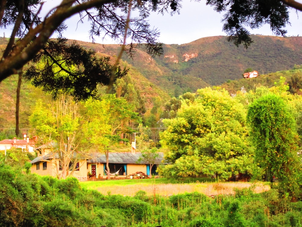 La Juanita Finca Verde