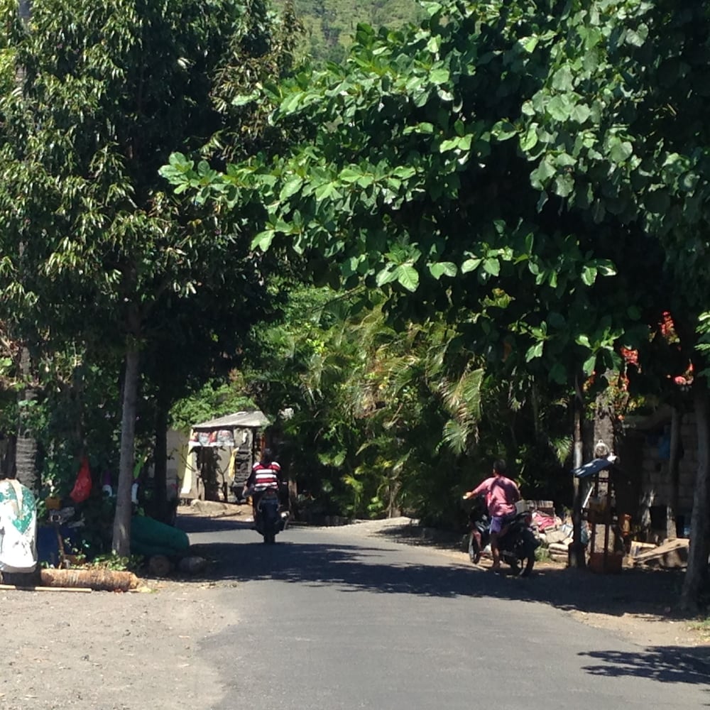 Villa Kupu Kupu