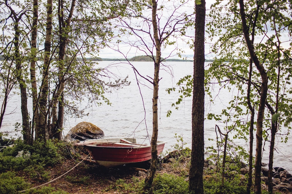Saimaa Life & Light