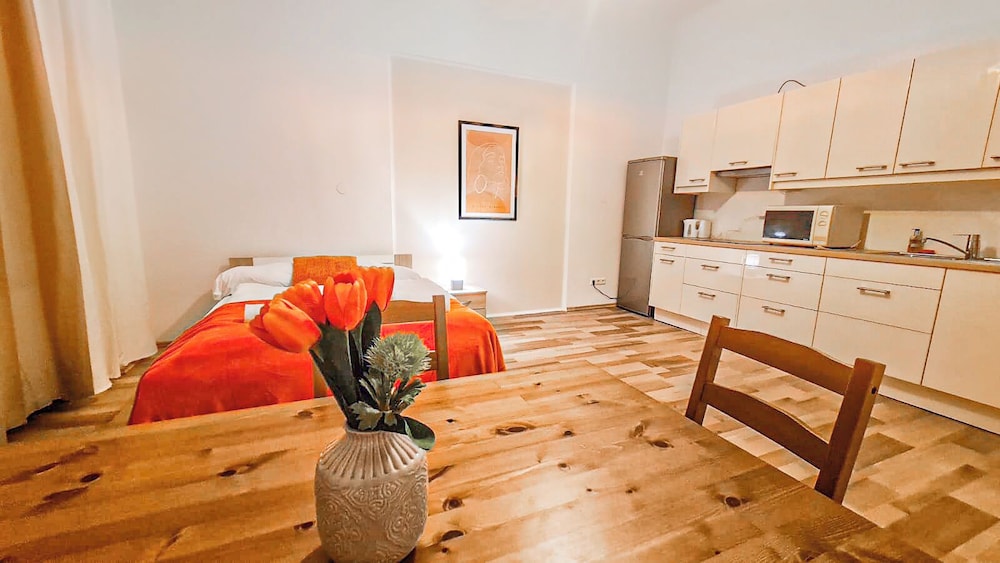 Classic 2BR Viennese Apt Near Downtown