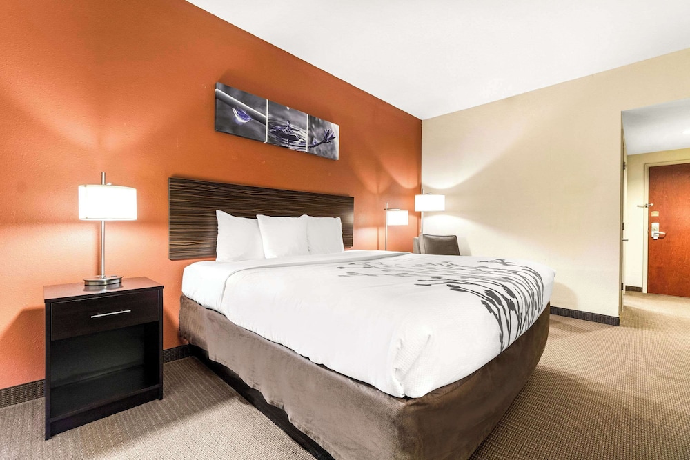 Dyersburg Vacations - Sleep Inn  Suites Dyersburg I-155 - Property Image 58