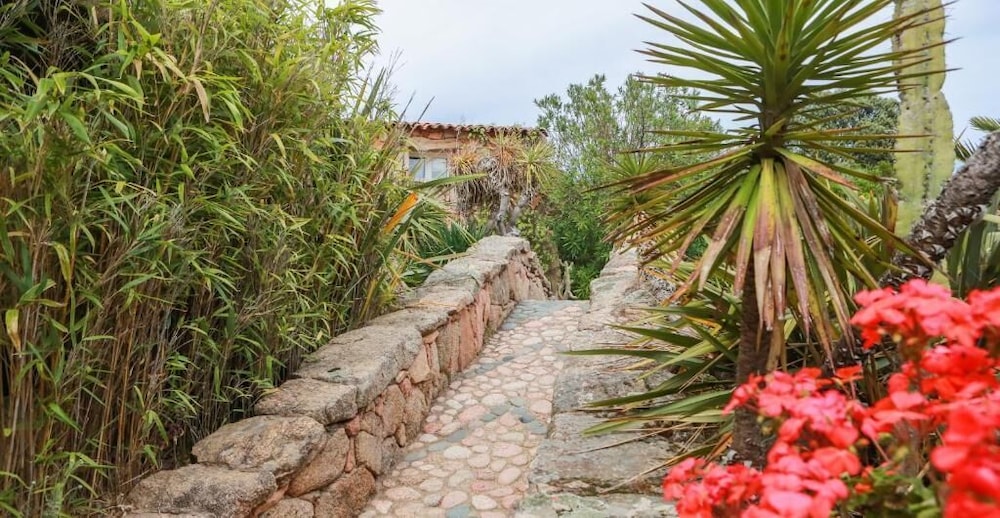 Domaine de Piscia view 5