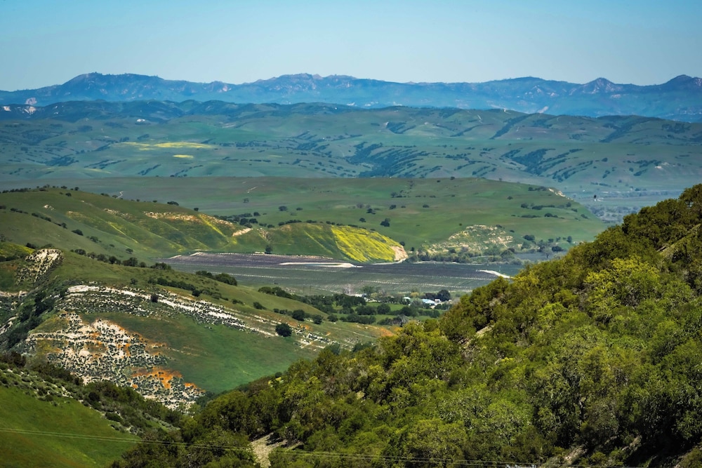 Blue Oak Oasis At Lake Naci