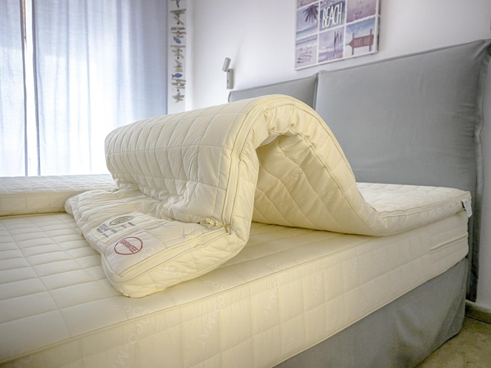 Vistonia Studio 5 Directly on the Beach With sea View view 3