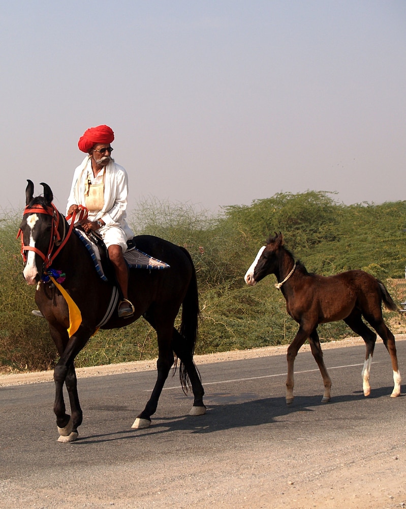 Shahpura Bagh