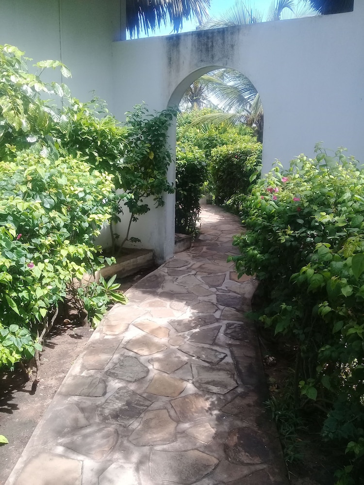 Lion Villa