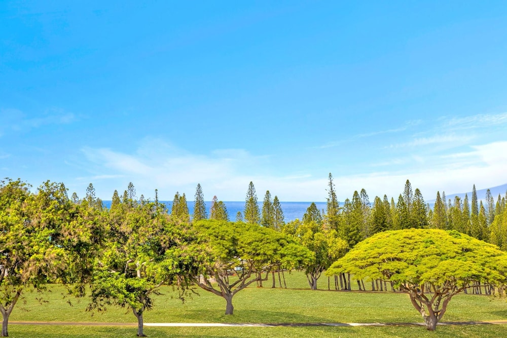 Kapalua Golf Villas 6 Free Rental Cars KBM Resorts Large Bedrooms 6 Units, 8 Bedrooms Ml-2360
