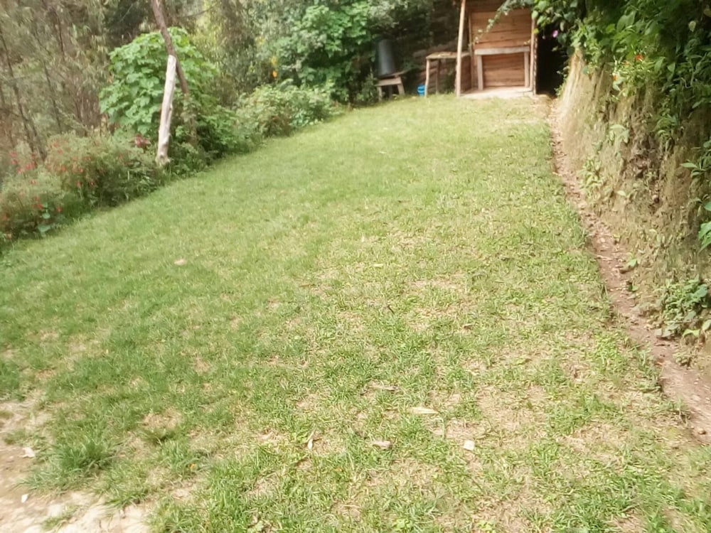 Photo 45