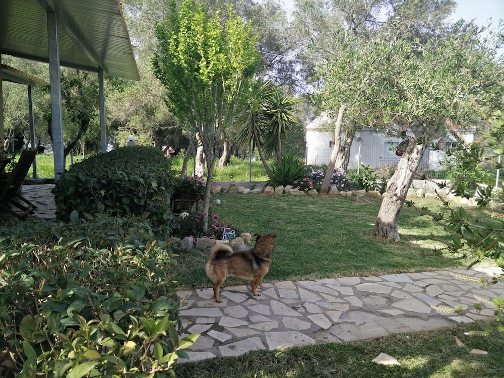 Photo 17