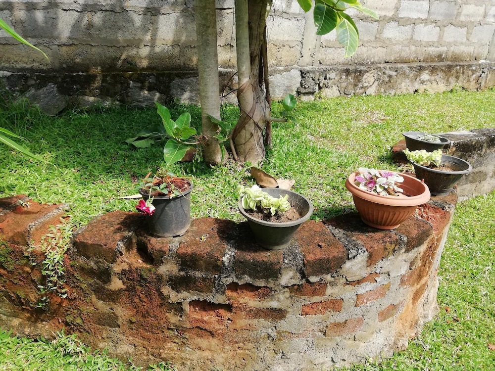 Lal HomeStay