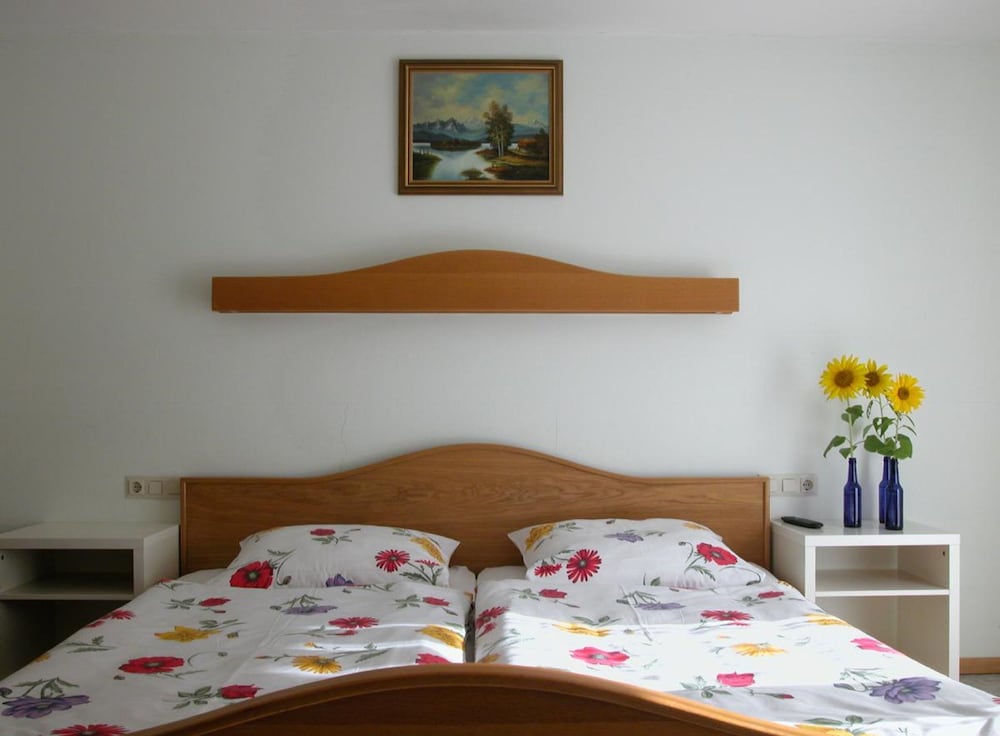 Pension Holzapfel view 2