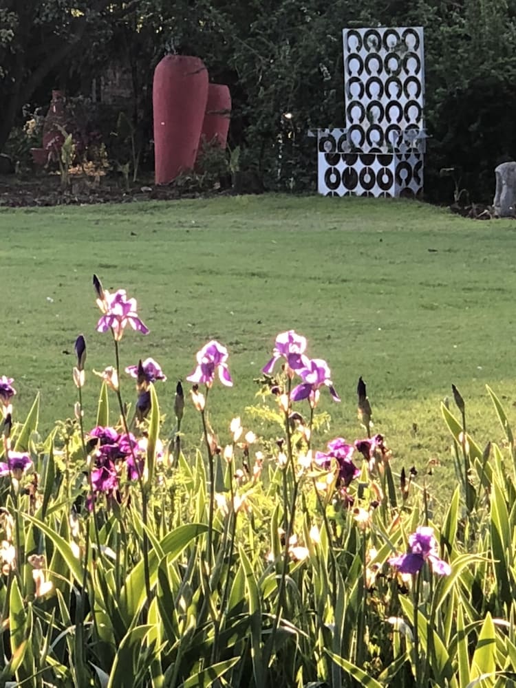 Elsje's Country Inn - Guesthouse
