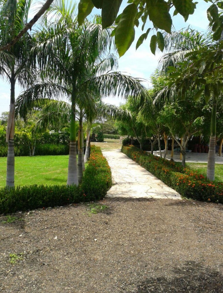 Photo 29