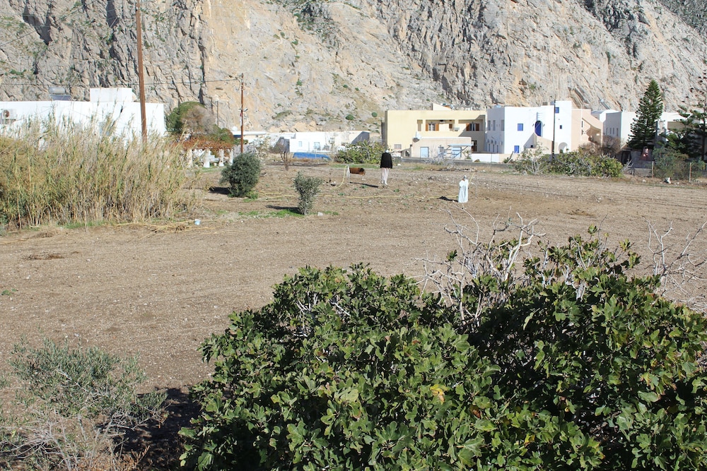 Photo 28