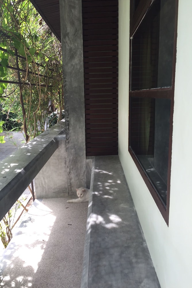 Photo 41