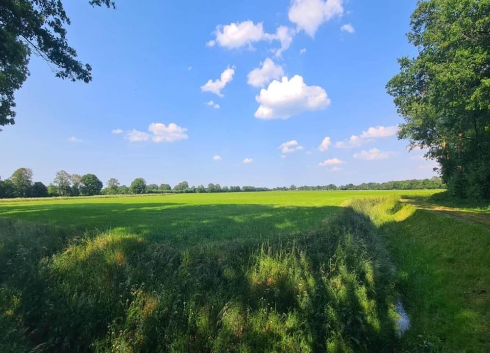 Spacious Chalet in a Rural Location Near Giethoorn