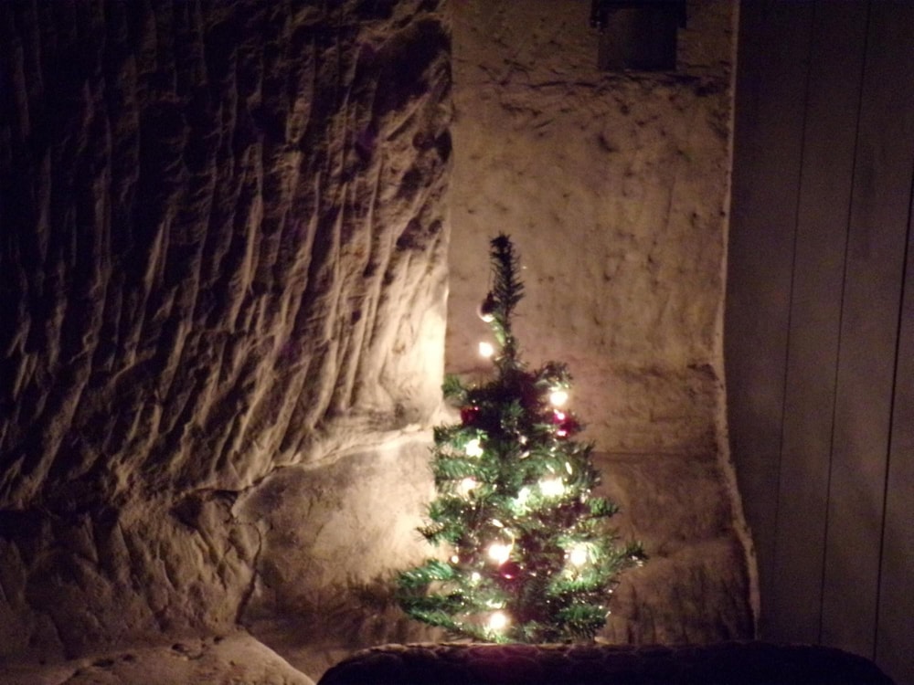 Photo 38