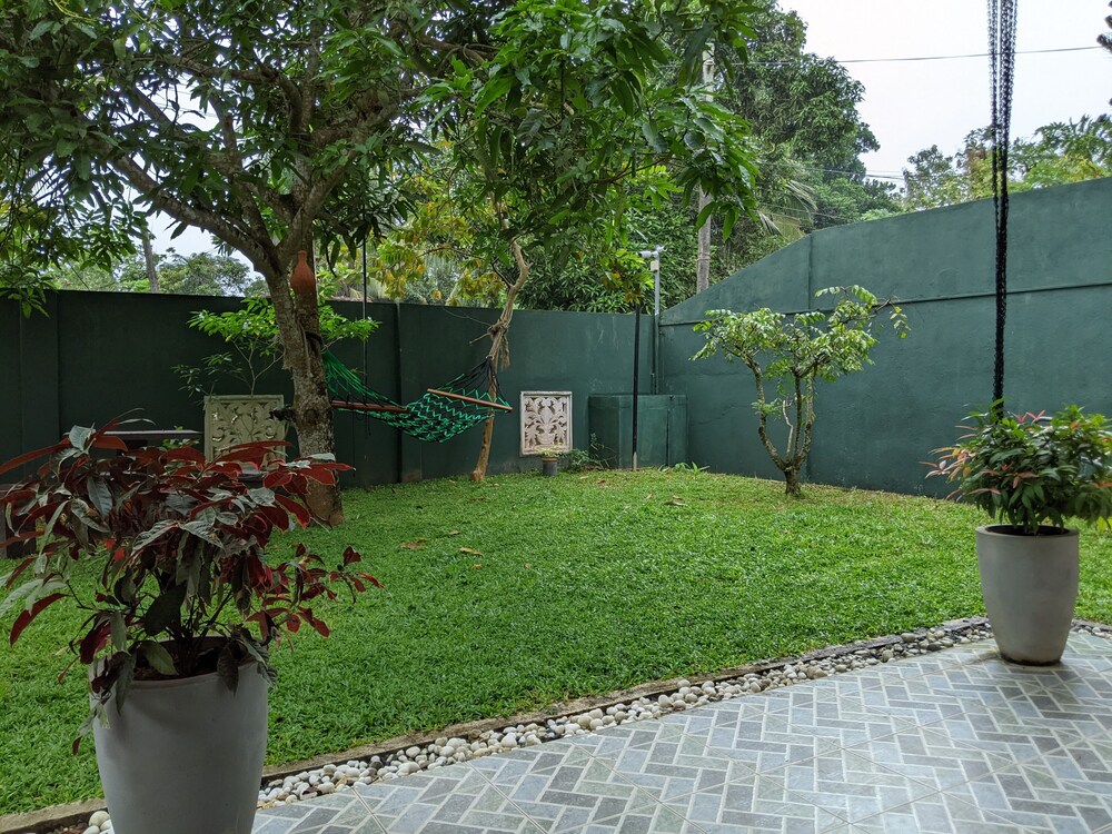 Photo 46