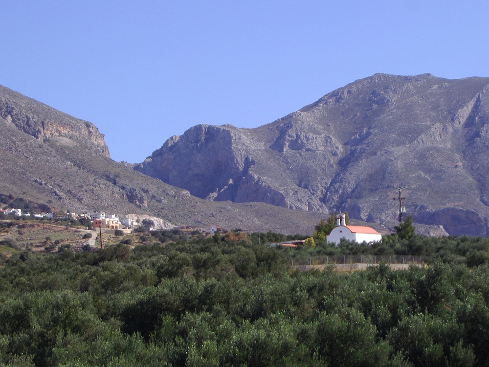 Photo 25