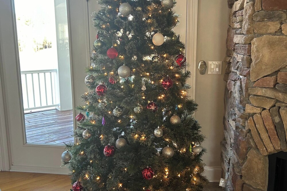 Photo 10