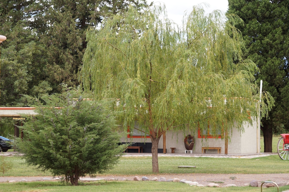 Complejo Río los Patos - Cabañas y Hostel