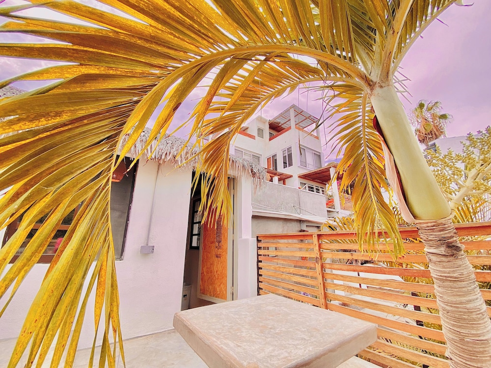 Perro Surfero Hotel Boutique - Todos Santos, BCS