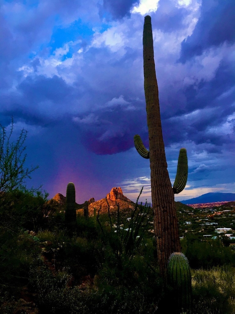 5th #159 Ahwatukee