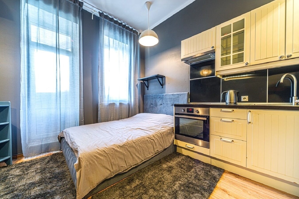 Loft Petrograd Apartment 2 view 4