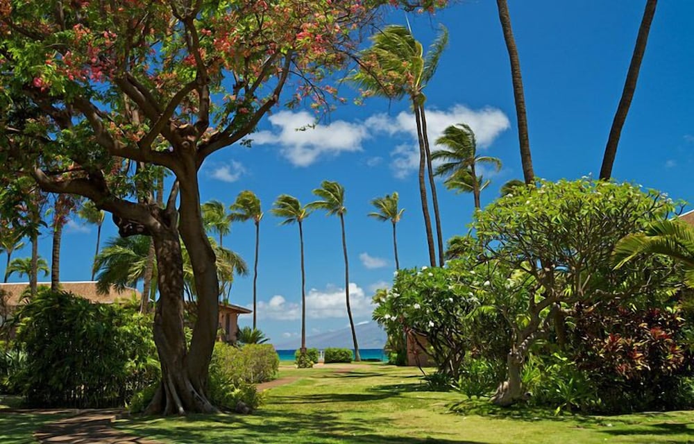 Maui Sands #6e 1 Bedroom Condo by RedAwning
